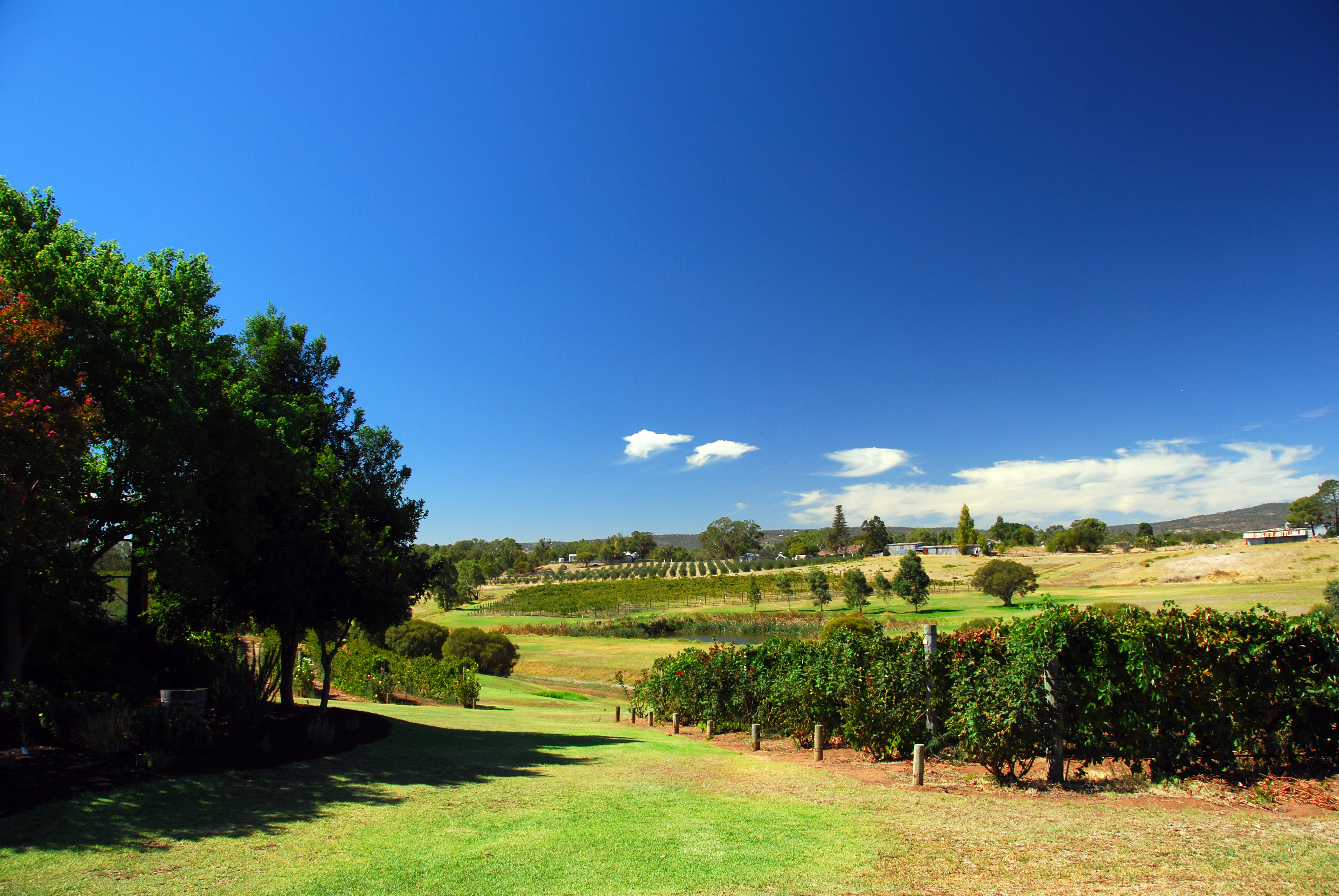 The Swan Valley Western Australia